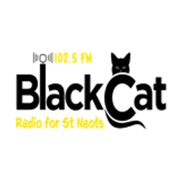 Black Cat 107