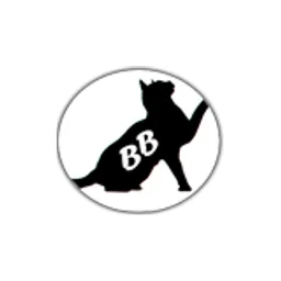 BluetonicBeats Radio